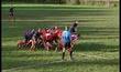 Sport-étude : rugby
